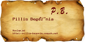 Pillis Begónia névjegykártya